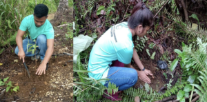 TREE PLANTING (February 2023)